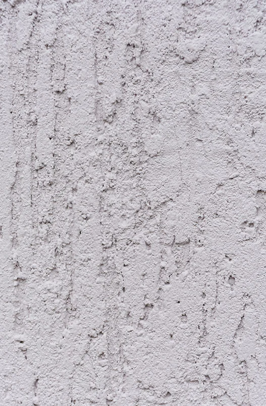 Pared rugosa Pared rugosa